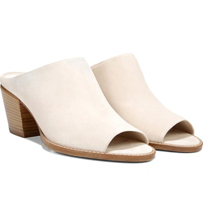 Shop Vince Vedra Mule Sandal In Sandstone Suede