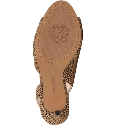 Shop Vince Camuto Crasantha Sandal In Natural Calf Hair