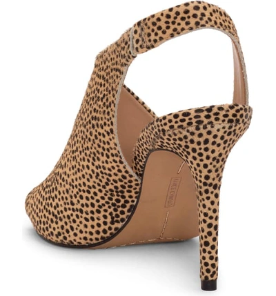 Shop Vince Camuto Crasantha Sandal In Natural Calf Hair