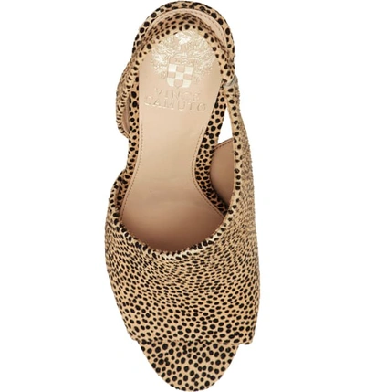 Shop Vince Camuto Crasantha Sandal In Natural Calf Hair