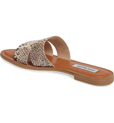 Steve Madden Alexandra Slide Sandal In Natural Snake Print ModeSens