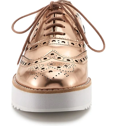 Shop Botkier Clive Platform Oxford In Metallic Rose Metallic