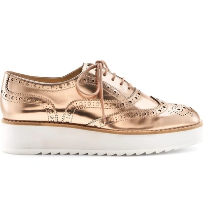 Shop Botkier Clive Platform Oxford In Metallic Rose Metallic