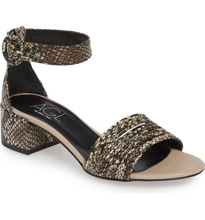 Shop Agl Attilio Giusti Leombruni Ankle Strap Sandal In Taupe Multi Snake