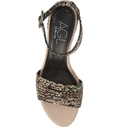 Shop Agl Attilio Giusti Leombruni Ankle Strap Sandal In Taupe Multi Snake