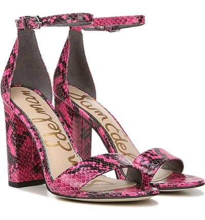 Shop Sam Edelman Yaro Ankle Strap Sandal In Neon Pink Leather