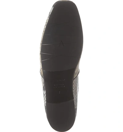Shop Aquatalia Revy Weatherproof Loafer In Taupe/ Black Snake