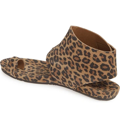 Shop Pedro Garcia 'vania' Sandal In Leopard Castoro
