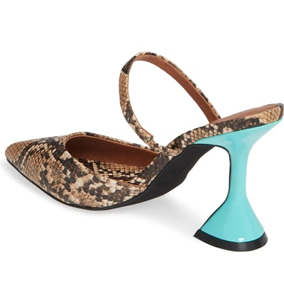 Shop Jeffrey Campbell Zivot Statement Heel Pump In Beige Black Snake/ Blue