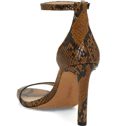 Shop Vince Camuto Lauralie Ankle Strap Sandal In Smokey Brown Leather