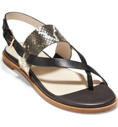 Shop Cole Haan Anica Sandal In Black Snake Print Leather