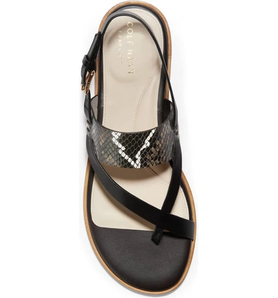 Shop Cole Haan Anica Sandal In Black Snake Print Leather