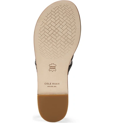 Shop Cole Haan Anica Sandal In Black Snake Print Leather