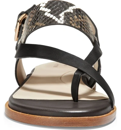 Shop Cole Haan Anica Sandal In Black Snake Print Leather