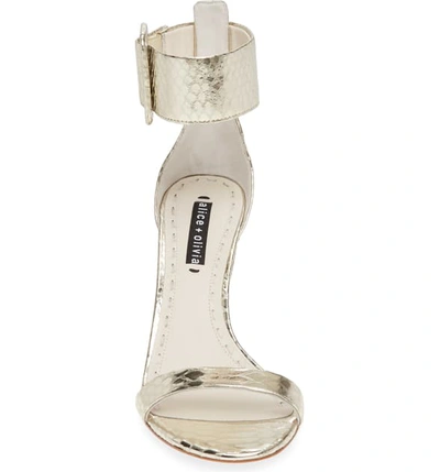 Shop Alice And Olivia Dolora Ankle Strap Sandal In Ivory