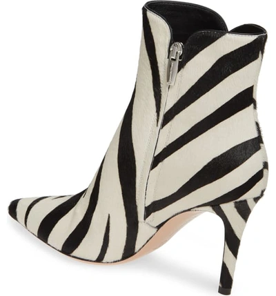 Shop Gianvito Rossi Genuine Calf Hair Bootie In Zebra Print