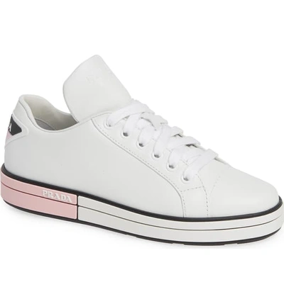 Shop Prada Logo Platform Sneaker In White/ Pink