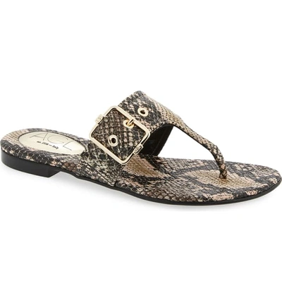 Shop Agl Attilio Giusti Leombruni Buckle Flip Flop In Taupe Snake Embossed Leather