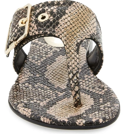 Shop Agl Attilio Giusti Leombruni Buckle Flip Flop In Taupe Snake Embossed Leather