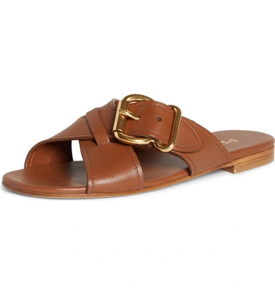 Shop Prada Buckle Slide Sandal In Brandy Leather