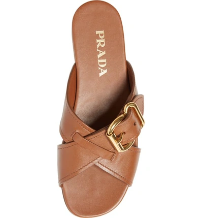 Shop Prada Buckle Slide Sandal In Brandy Leather