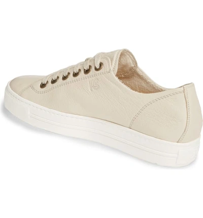 Shop Paul Green Ally Low Top Sneaker In Biscuit Leather