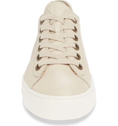 Shop Paul Green Ally Low Top Sneaker In Biscuit Leather