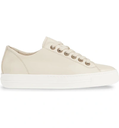 Shop Paul Green Ally Low Top Sneaker In Biscuit Leather