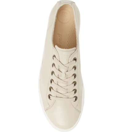 Shop Paul Green Ally Low Top Sneaker In Biscuit Leather