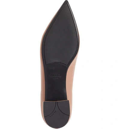 Shop Prada Pointy Toe Flat In Nude