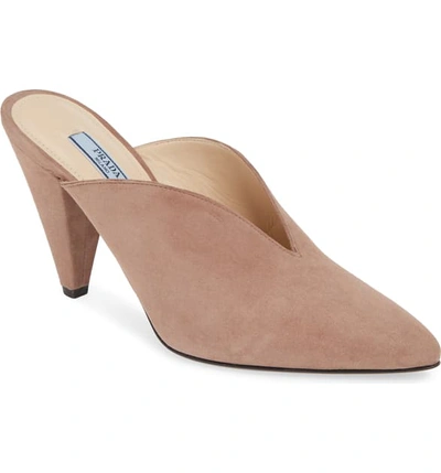 Shop Prada Pointy Toe Mule In Dark Rose Suede