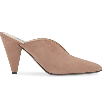 Shop Prada Pointy Toe Mule In Dark Rose Suede