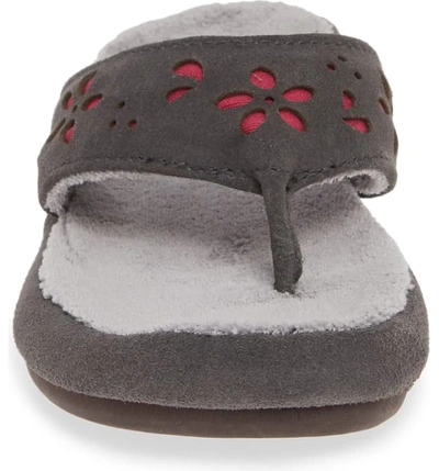 Shop Acorn Flora Spa Flip Flop In Ash Flora Suede