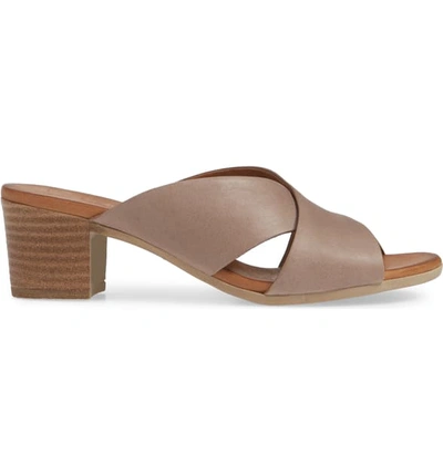Shop Sheridan Mia Tonia Slide Sandal In Taupe Leather