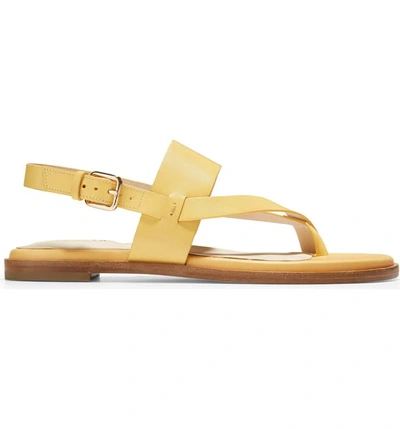 Shop Cole Haan Anica Sandal In Sunset Gold Leather