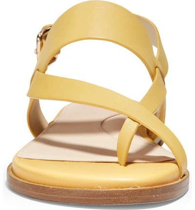 Shop Cole Haan Anica Sandal In Sunset Gold Leather