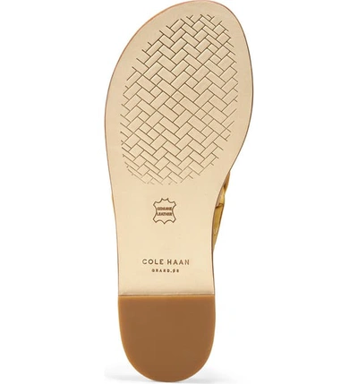 Shop Cole Haan Anica Sandal In Sunset Gold Leather