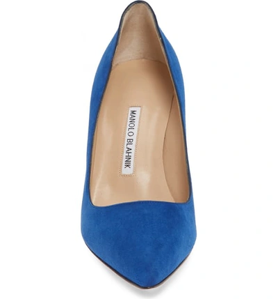 Shop Manolo Blahnik Bb Pointy Toe Pump In Cobalt Suede