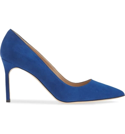 Shop Manolo Blahnik Bb Pointy Toe Pump In Cobalt Suede