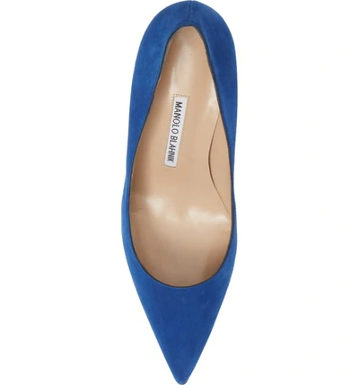 Shop Manolo Blahnik Bb Pointy Toe Pump In Cobalt Suede