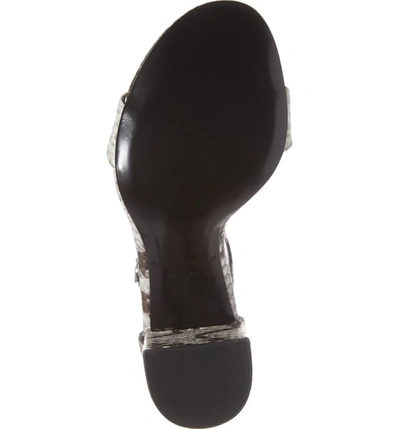 Shop Alexander Wang New Abby Ankle Strap Sandal In Black/ White Snake Print