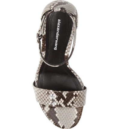 Shop Alexander Wang New Abby Ankle Strap Sandal In Black/ White Snake Print