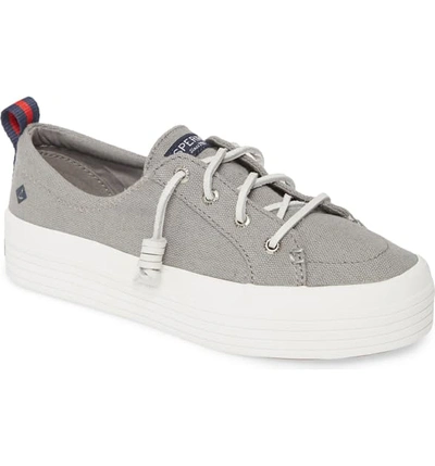 Shop Sperry Crest Vibe Platform Sneaker In Grey Canvas