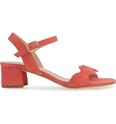 Shop Patricia Green Gina Block Heel Sandal In Coral Suede