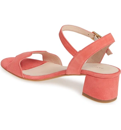 Shop Patricia Green Gina Block Heel Sandal In Coral Suede