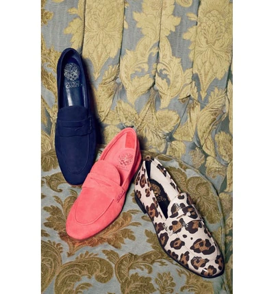 Shop Vince Camuto Macinda Penny Loafer In Natural Leopard Haircalf