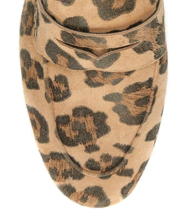 Shop Vince Camuto Macinda Penny Loafer In Natural Leopard Haircalf