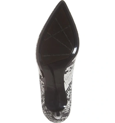 Shop Calvin Klein Gayle Pointed Toe Pump In Black/ White Snake Print