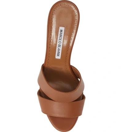 Shop Manolo Blahnik Iacopo Double Band Sandal In Brown Leather