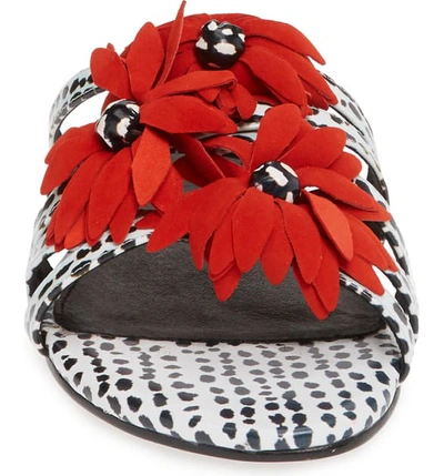 Shop Cecelia New York Flower Slide Sandal In Canna Red/ Black White Leather